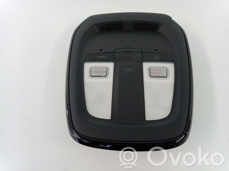 Polestar 2 Front seat light 