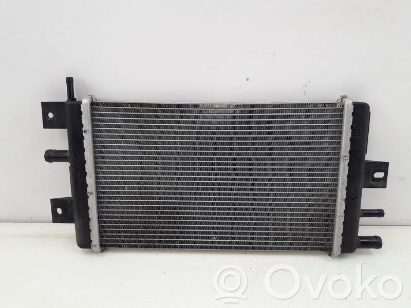 Dacia Spring Kit Radiateur