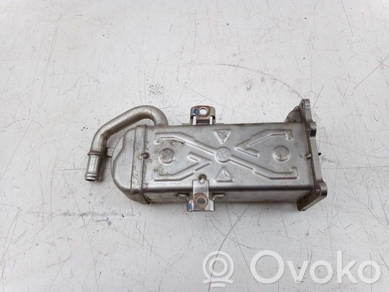 Volkswagen Polo V 6R Răcitor supapă EGR 
