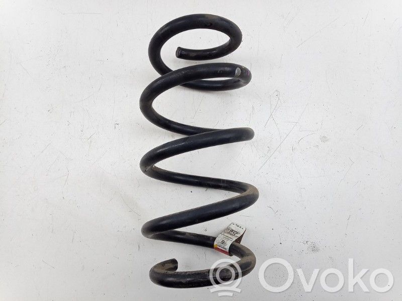 Muelle espiral trasero   104447291E,104447291E