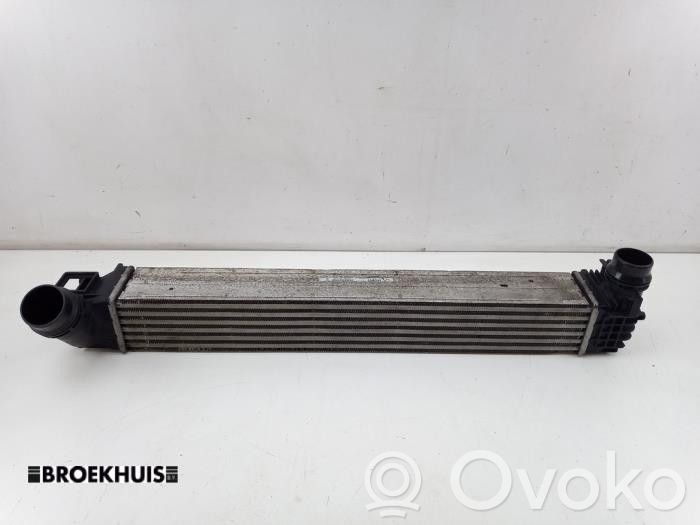 Renault Megane III Radiatore intercooler