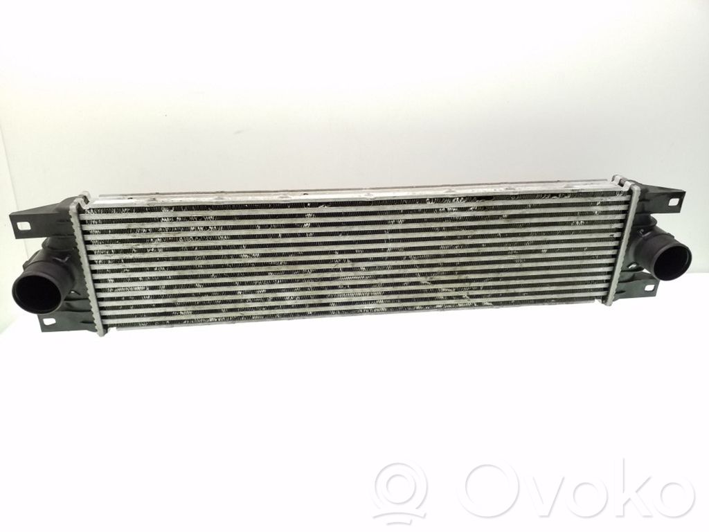 Intercooler radiator   874806M