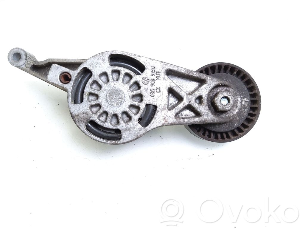 Volkswagen PASSAT B6 Napinacz paska alternatora 