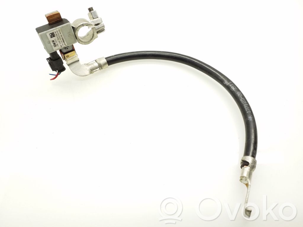 BMW 1 F20 F21 Cable negativo de tierra (batería) 
