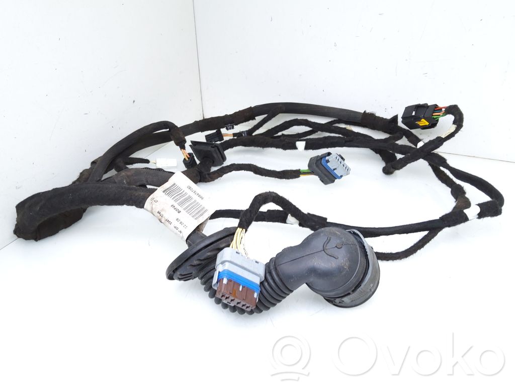 Citroen C5 Cableado de puerta delantera 