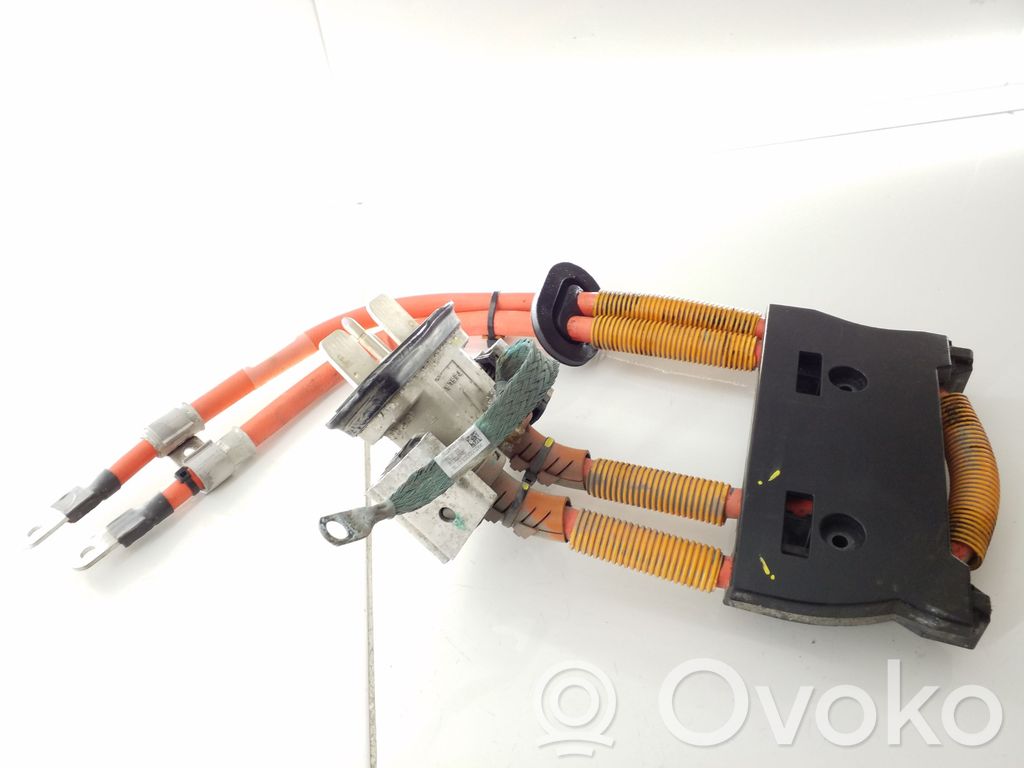 Tesla Model S Other wiring loom 