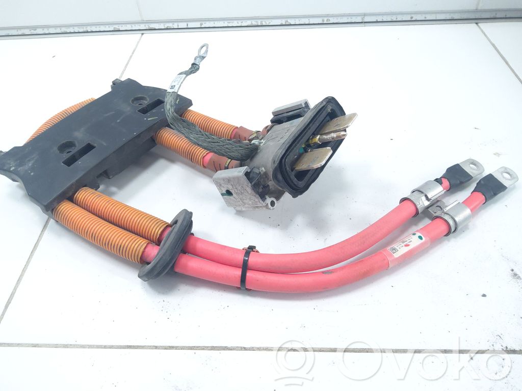 Tesla Model S Other wiring loom 