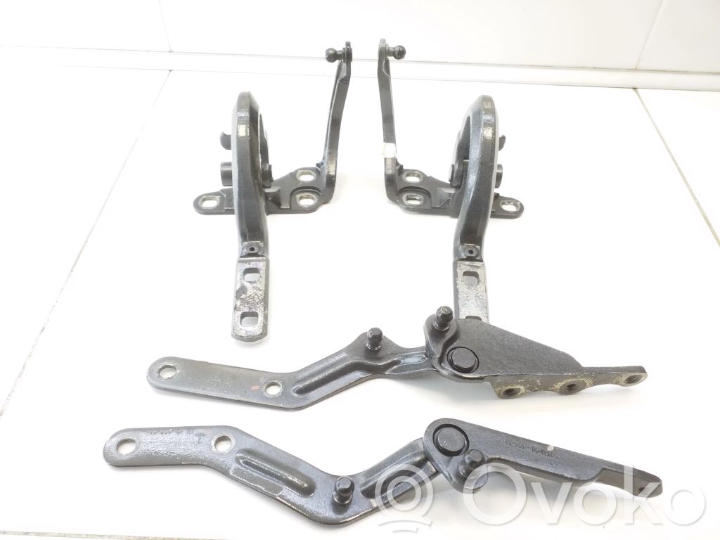 Tesla Model X Rear door hinge set 