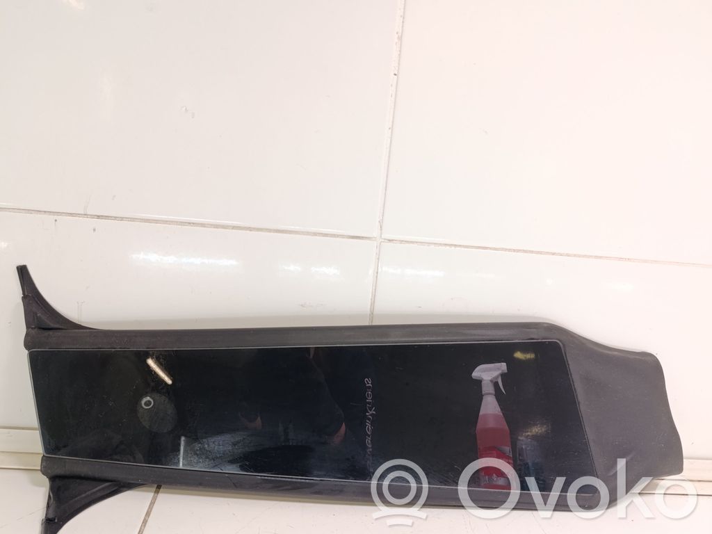 Tesla Model Y (B) Pillar trim (exterior) 