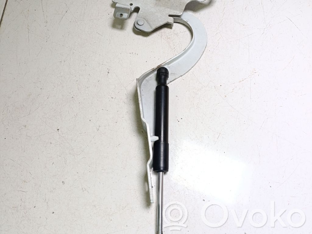 Renault Zoe Engine bonnet/hood hinges 
