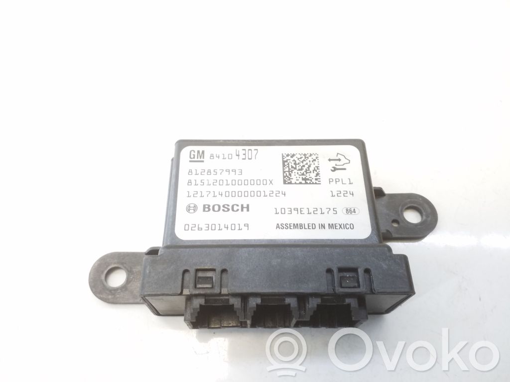 Opel Ampera- E Other control units/modules 