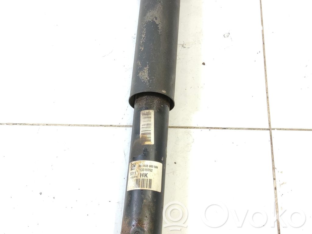 Stoßdämpfer hinten   13319754
