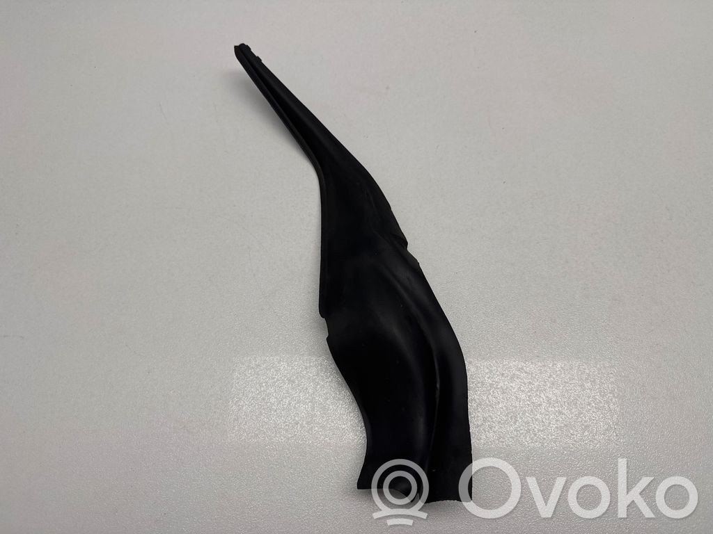 Chrysler Pacifica Windshield trim 