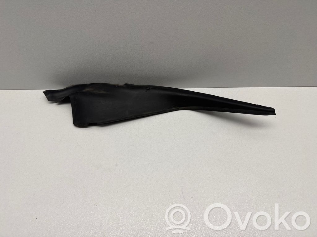 Chrysler Pacifica Windshield trim 