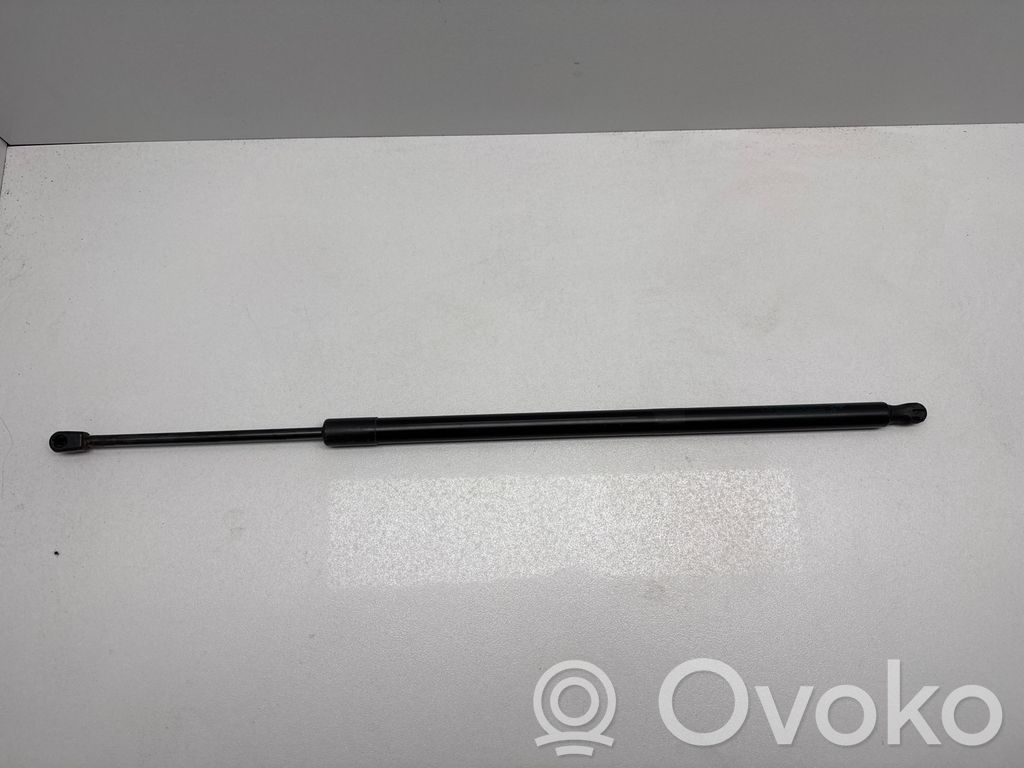 Chrysler Pacifica Tailgate/trunk strut/damper 