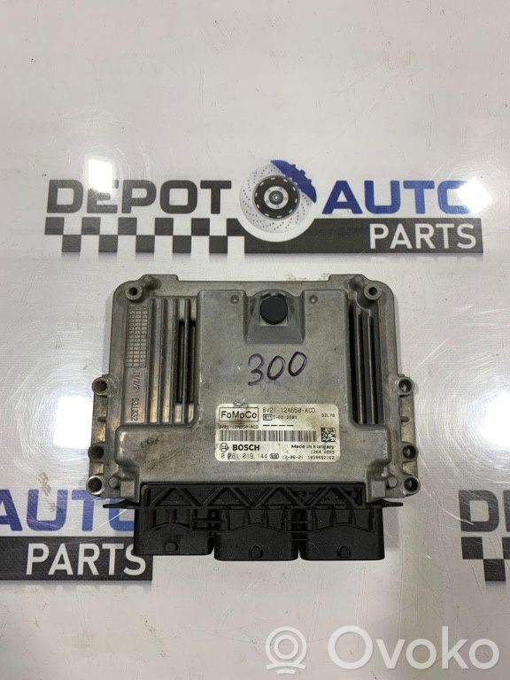 Galios (ECU) modulis   BV2112A650ACD,0281019144