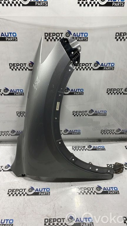 Fender