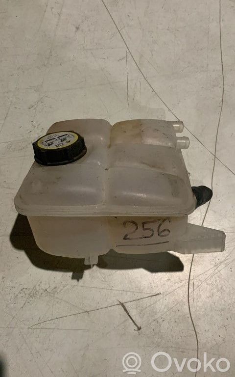 Ford Focus Dzesēšanas šķidruma izplešanās tvertne 