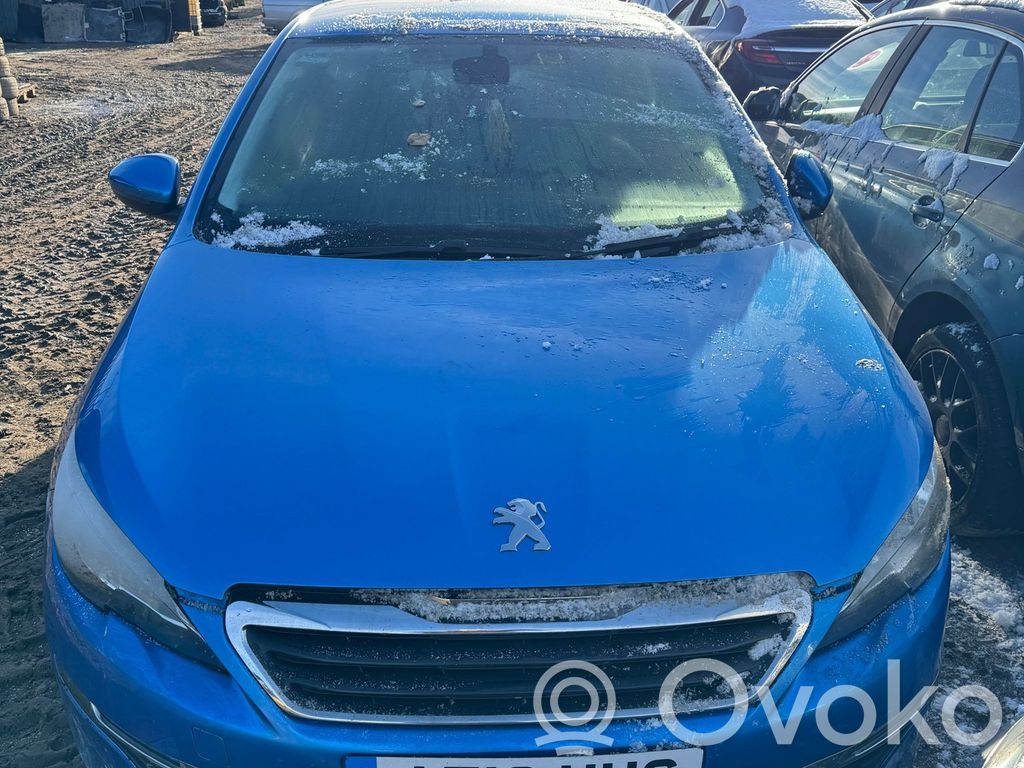 Peugeot 308 Front door electric window regulator 
