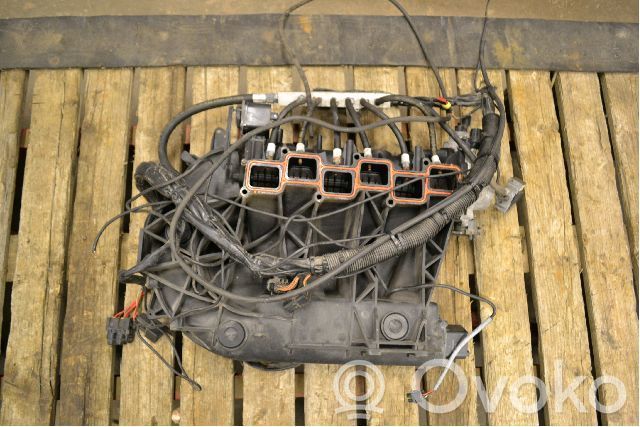 Intake manifold   4591822AF