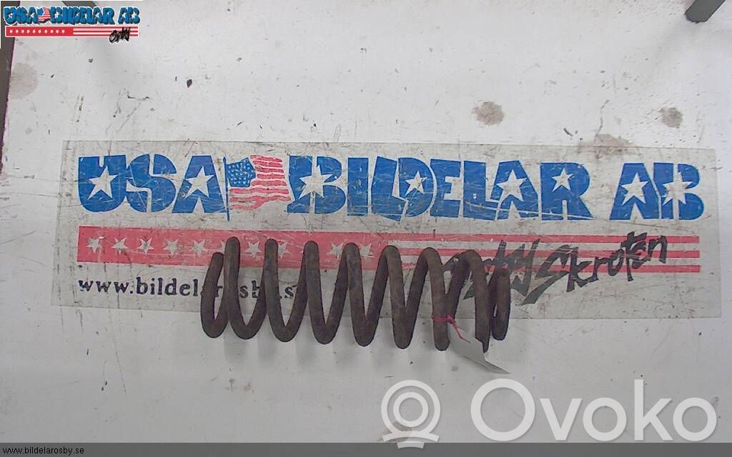 Front coil spring   51700434