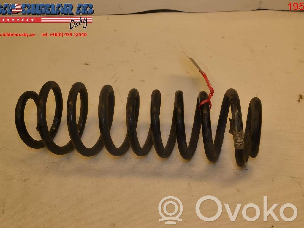 Ford Mustang V Rear coil spring 