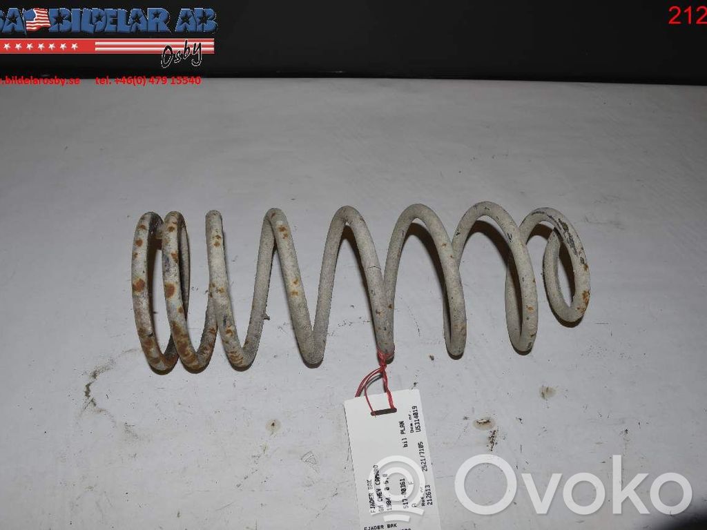 Chevrolet Camaro Rear coil spring 
