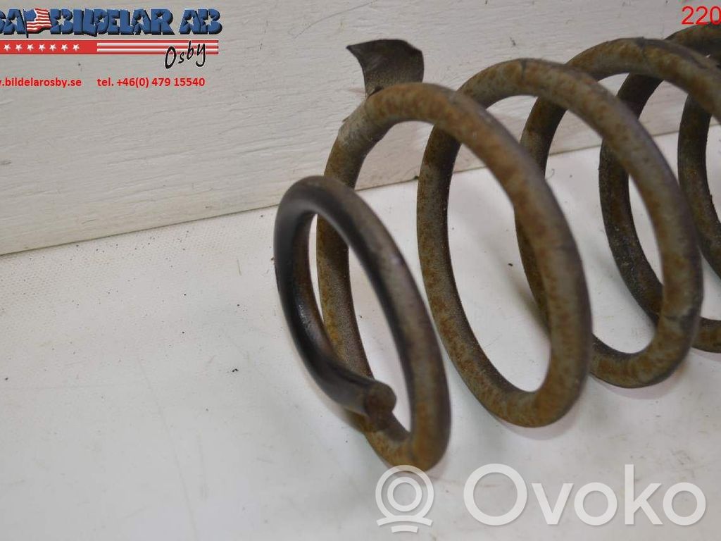 Rear coil spring   51700883