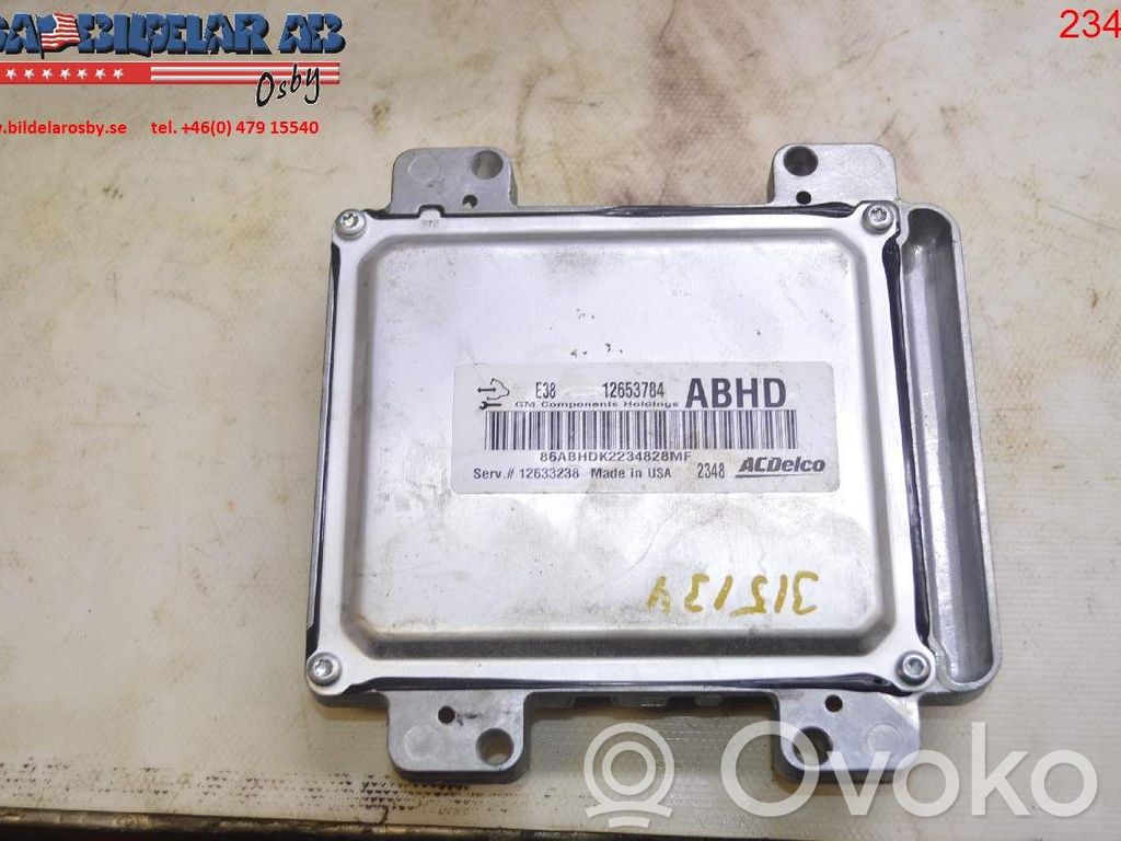 Chevrolet Corvette Injection control unit/module 