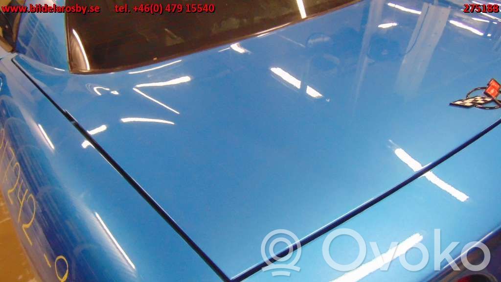 Tailgate/trunk/boot lid   17001803