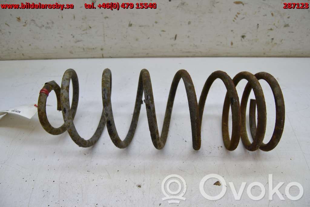 Rear coil spring   51700361