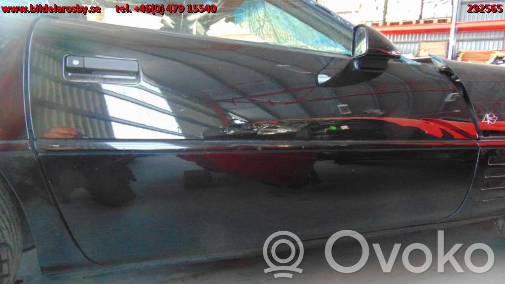 Priekinės durys (dvidurio)   12002951R