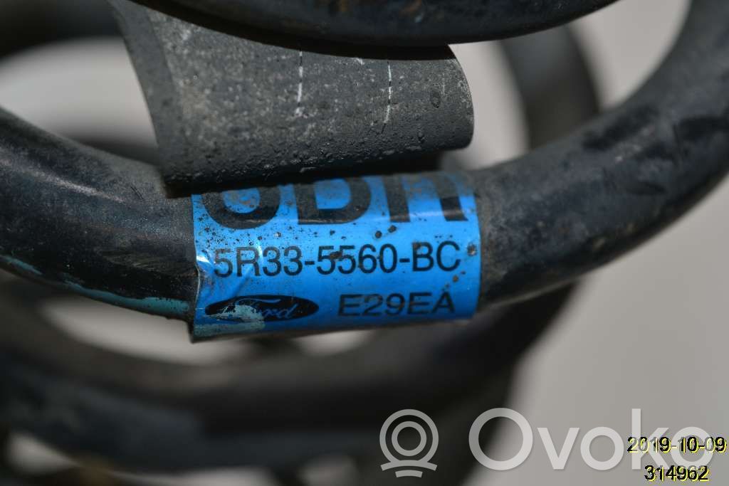 Ford Mustang V Rear coil spring 