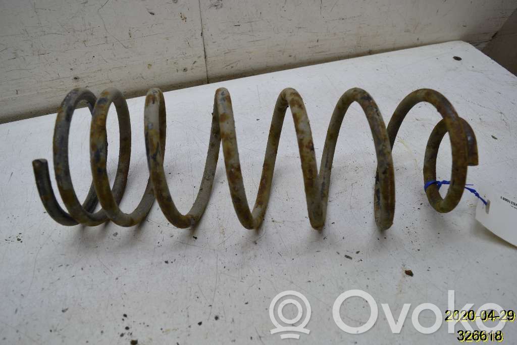 Pontiac Firebird Rear coil spring 