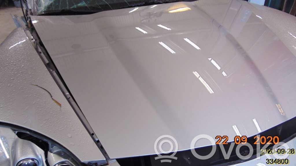 Chevrolet Corvette Engine bonnet/hood 
