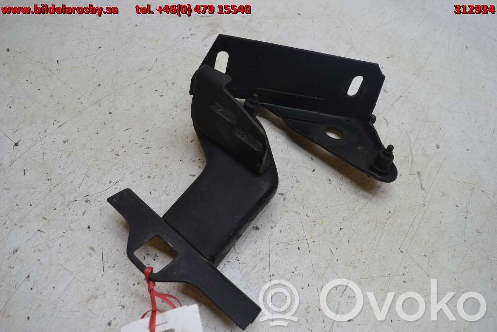 Engine bonnet/hood hinges   11800378R