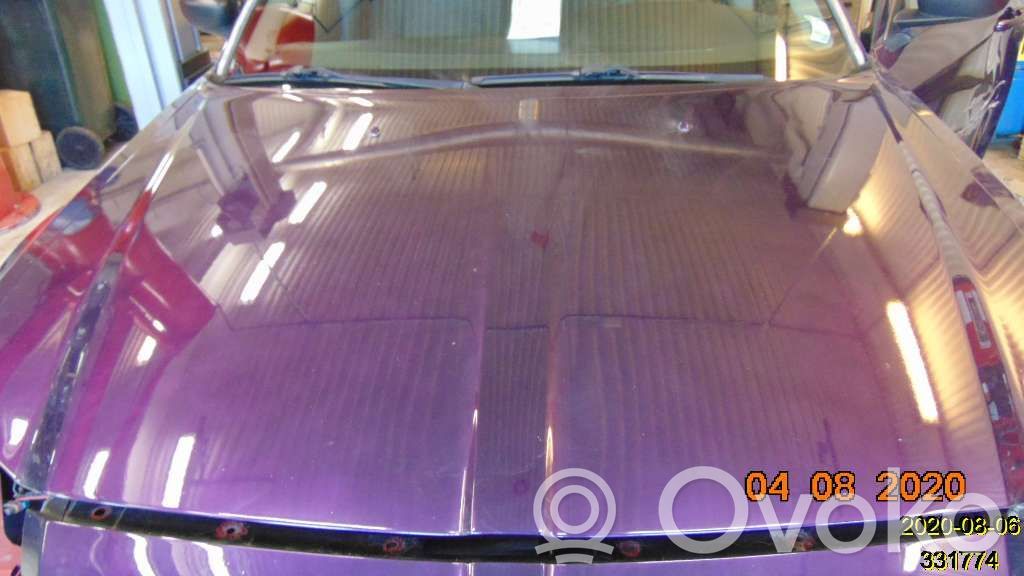 Engine bonnet/hood   11700394
