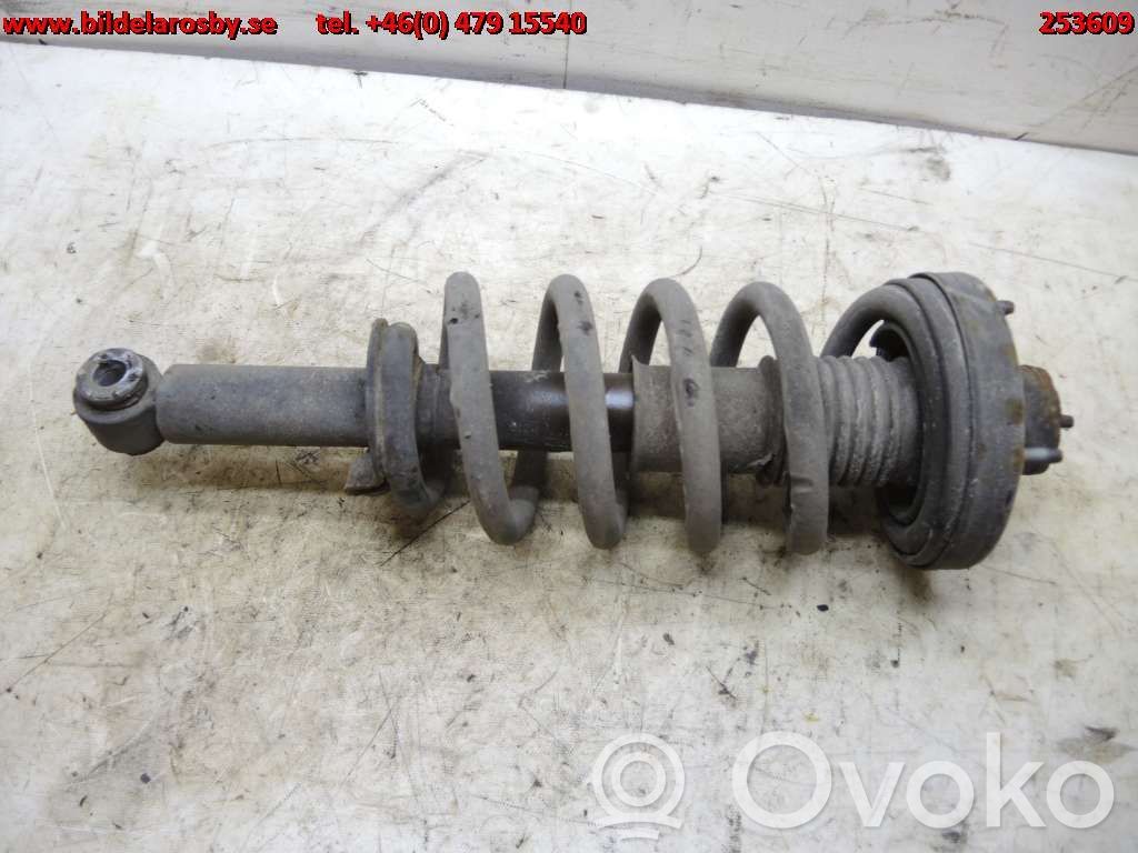 Stoßdämpfer hinten   51700851