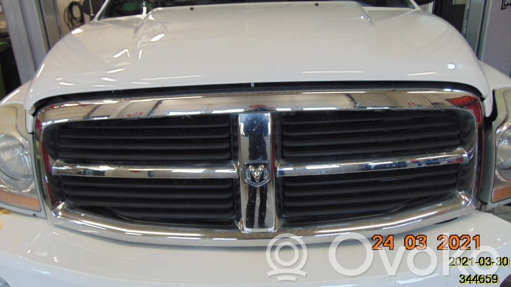 Front bumper lower grill   10401830