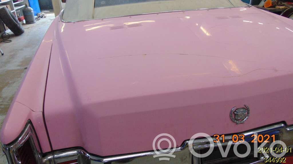 Tailgate/trunk/boot lid   17001003A