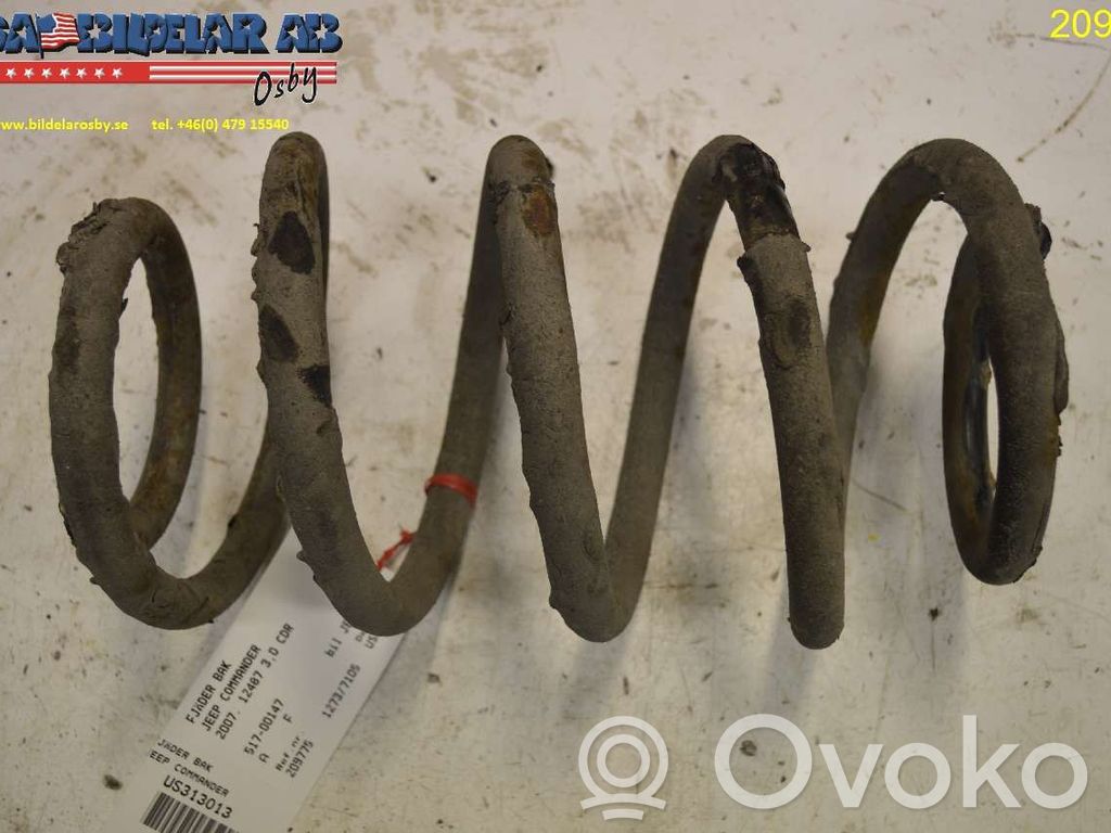 Rear coil spring   51700147