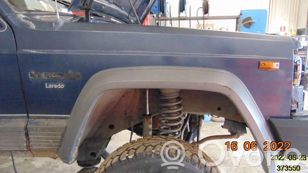 Fender   11002003BR