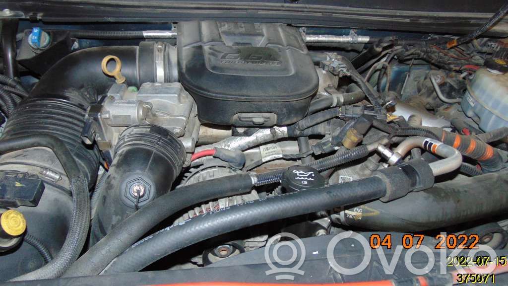Engine   30005866A