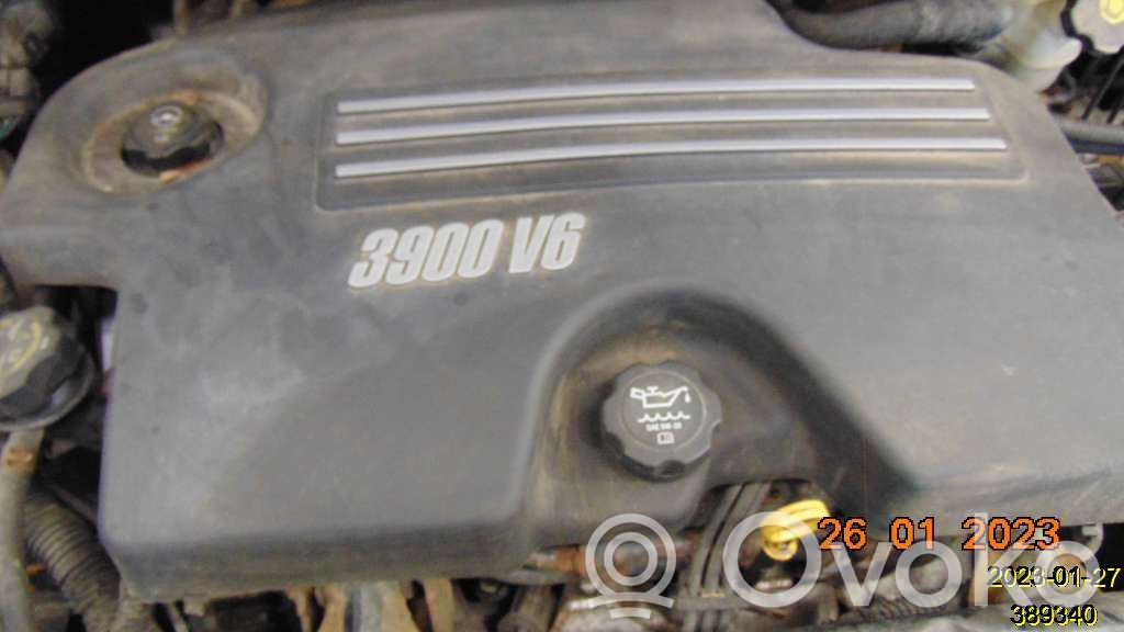 Variklis   30002039D