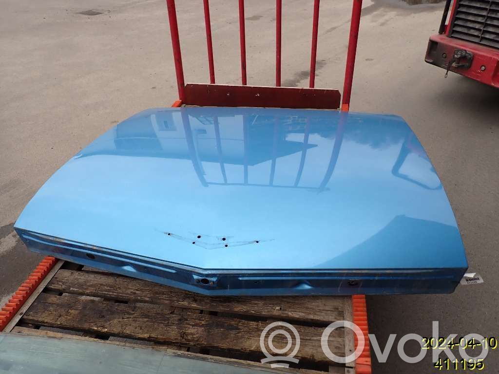 Tailgate/trunk/boot lid