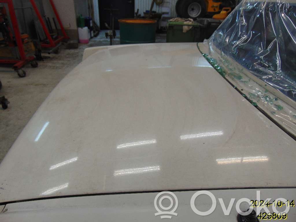 Tailgate/trunk/boot lid   17001397