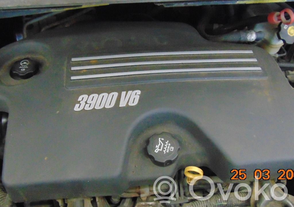 Engine   30002039D