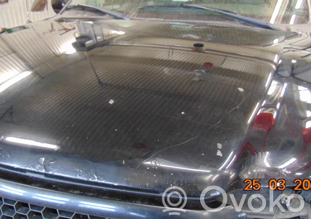 Ford F150 Motorhaube