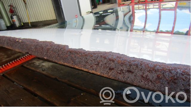 Tailgate/trunk/boot lid   17001247J