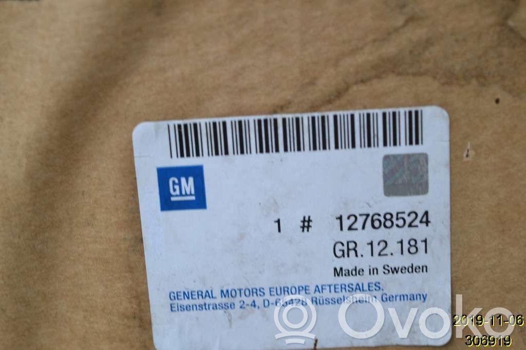 Cadillac BLS Puerta del maletero/compartimento de carga 